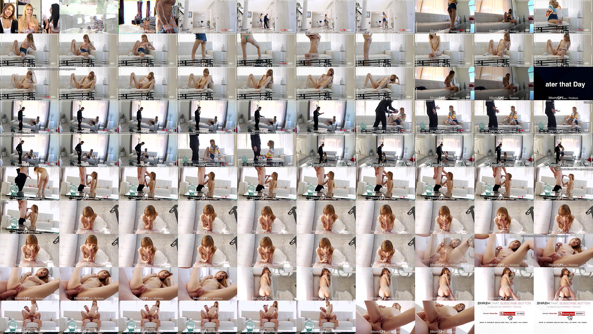 NANNYSPY Nanny FUCKED To Pay For Broken Vase 预览图