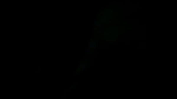 Video De Vérification