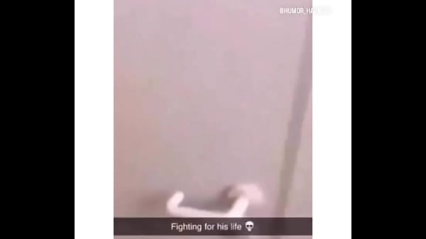 thumb indeed