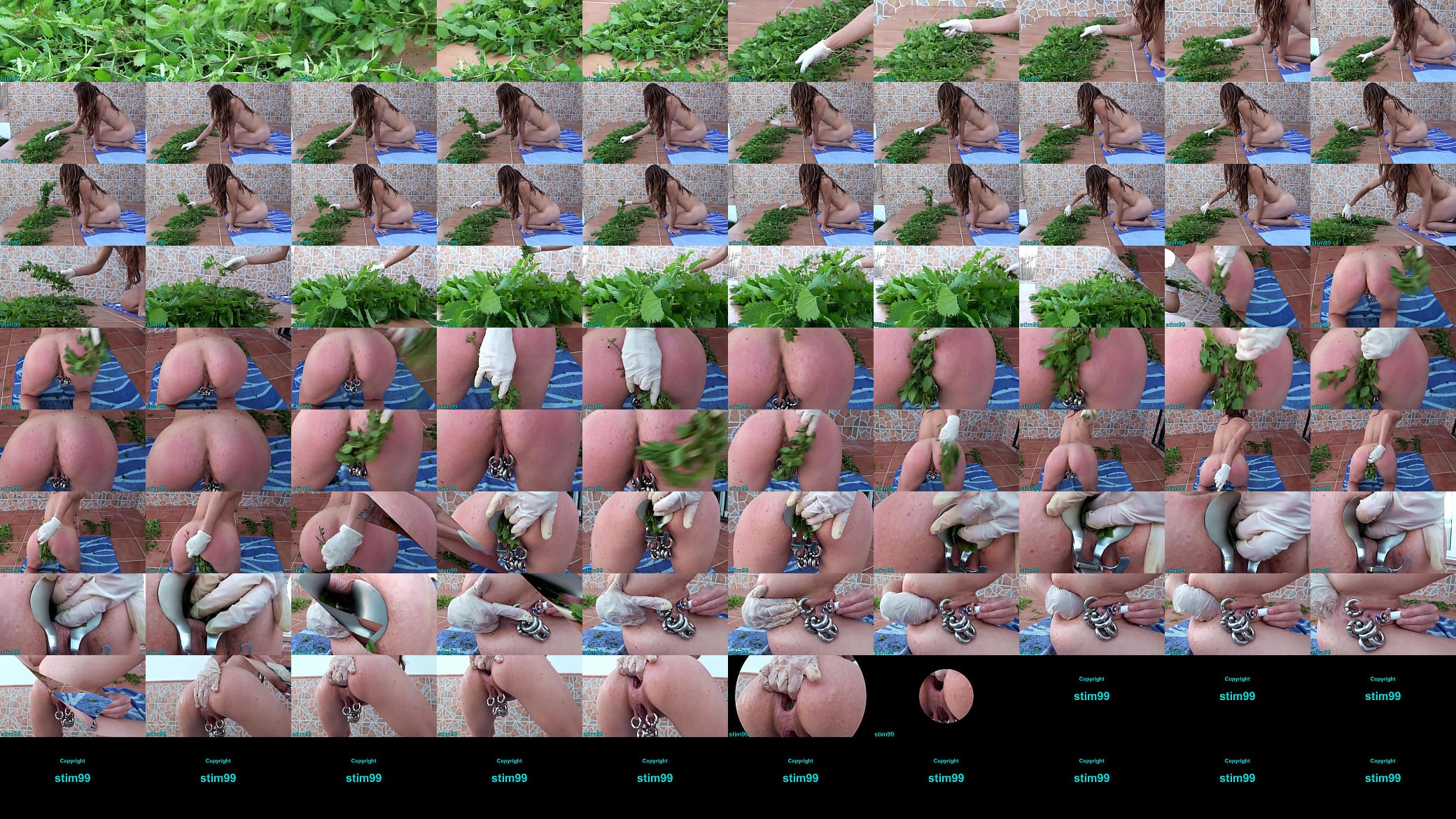 Nettles Ass Fisting Anal Insertion Nettles with Speculum 预览图