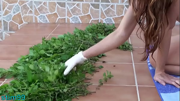 Nettles Ass Fisting Anal Insertion Nettles with Speculum