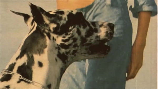 Download Video - Dark Lantern Entertainment presents