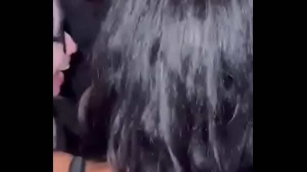  Só Tenho Namorada Gostosa Vaquuinha