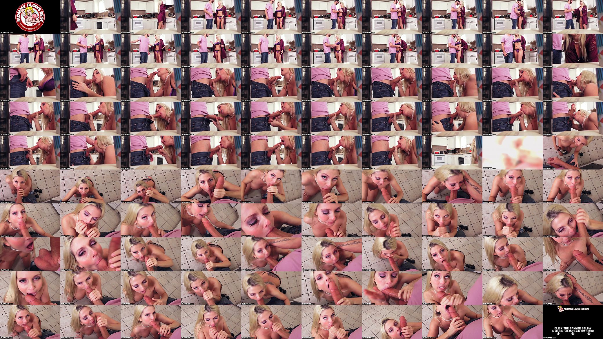 Blowpass You Are SO Busted 预览图
