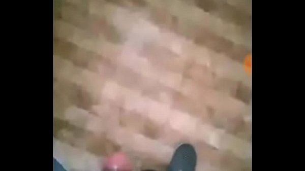 Quailen