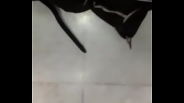 Um banheirão