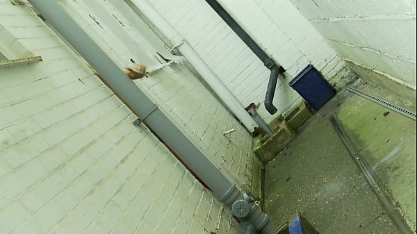 Michelle Thorne is Titney Spheres, a busty popstar who is so horny that she will fuck just...