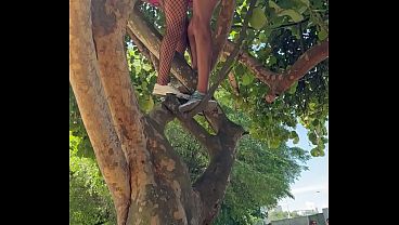 Carnaval: foi em cima da árvore, no meio do bloco tomando na buceta e engolindo porra de desconhecido