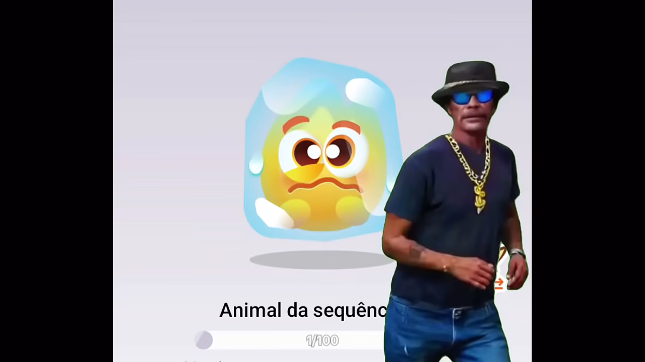 V&iacute_deo de verifica&ccedil_&atilde_o