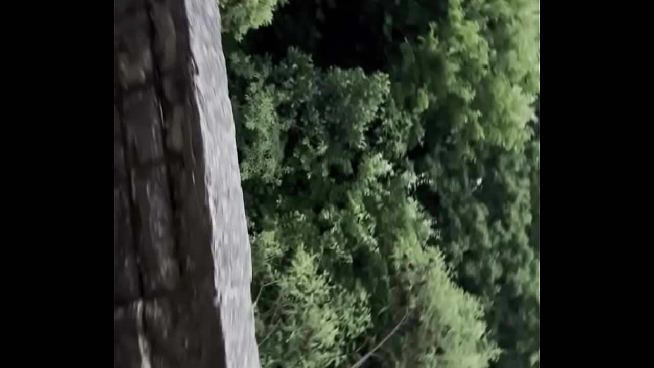 E o Grand&atilde_o desbravamos a floresta e encontramos um ninho de trepa