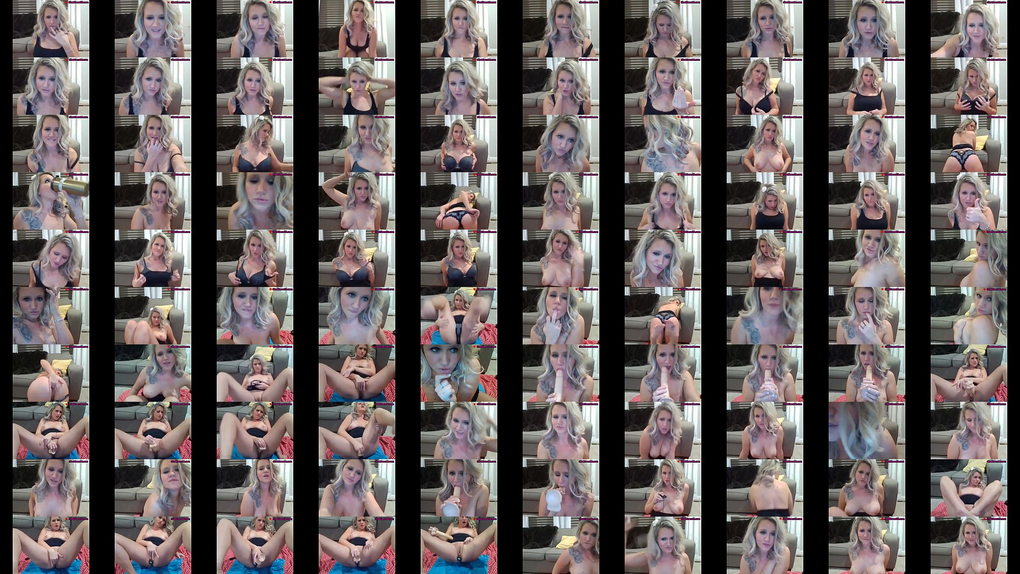 webcam 195 预览图