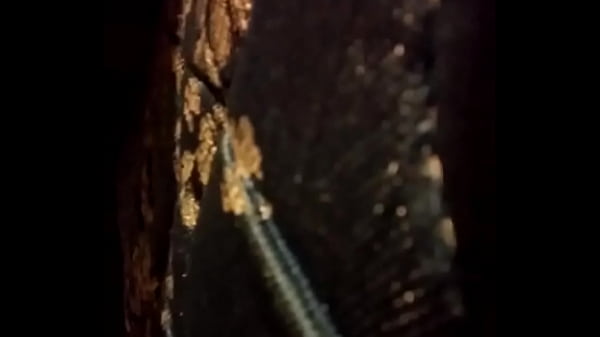 Download Video - Riding my poney