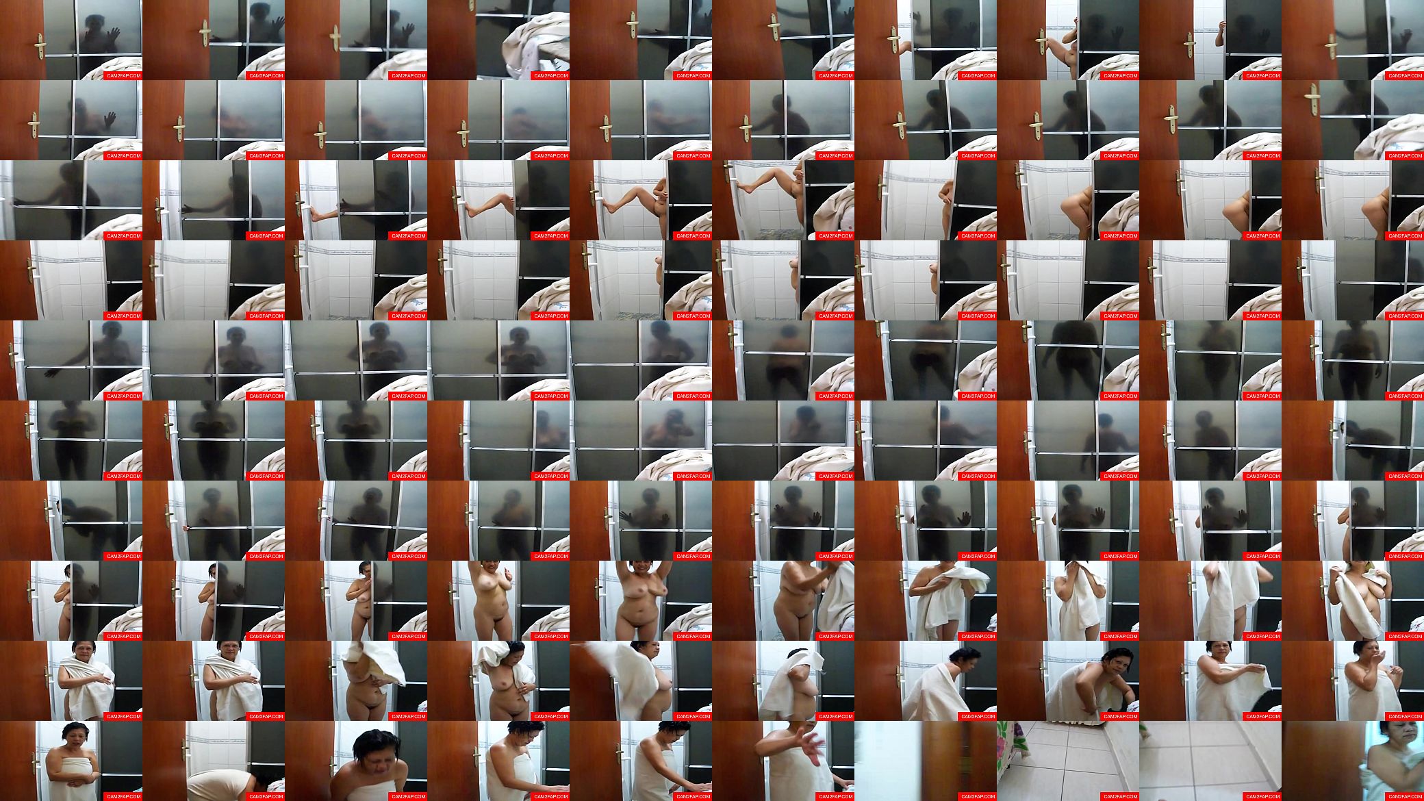 Hardcore Webcam 预览图