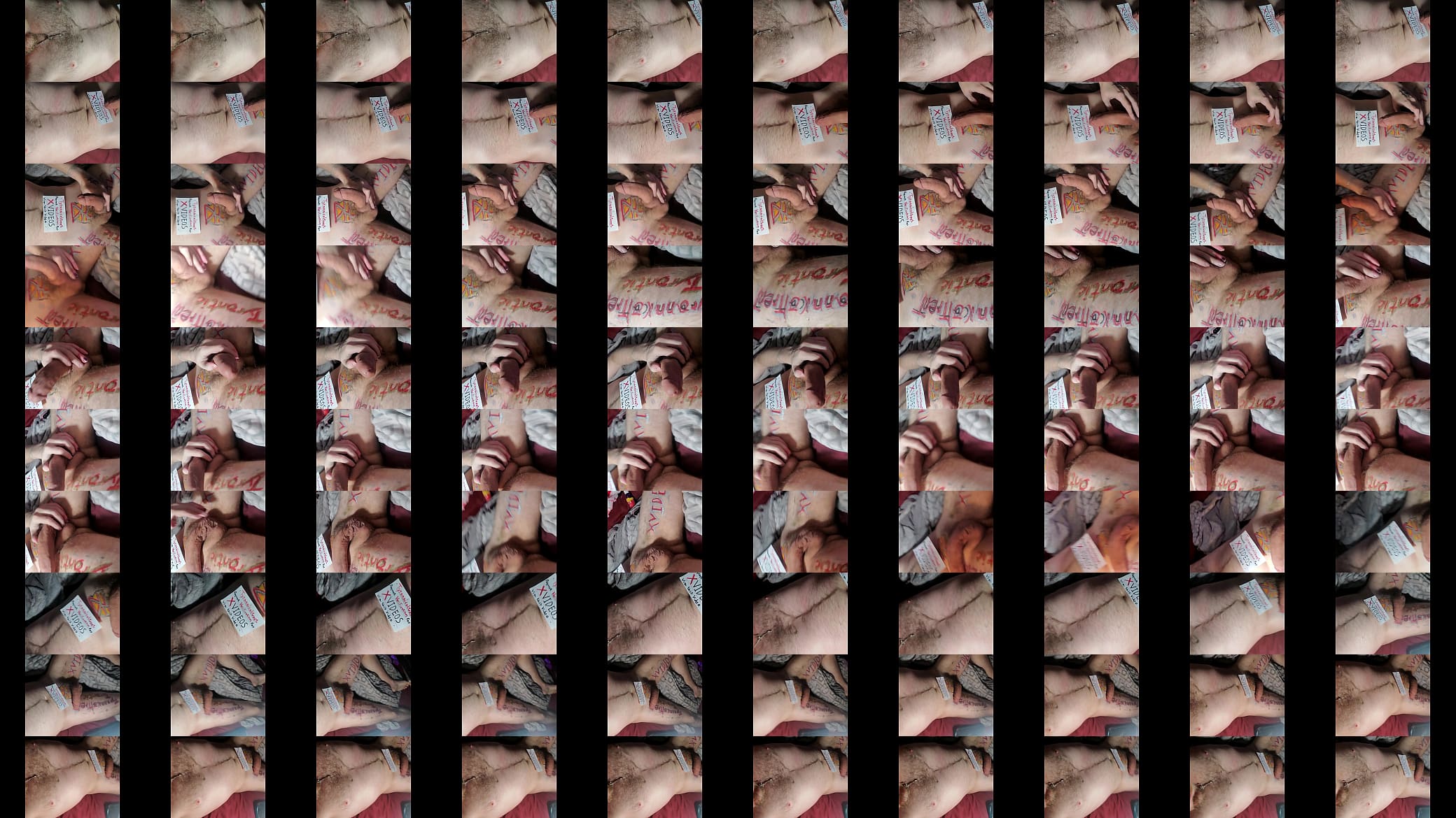 Verification video 预览图