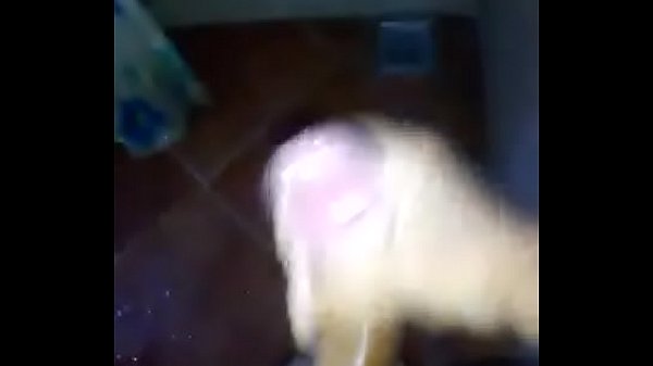 Download Video - Tarado com muito tes&atilde;o de manh&atilde;