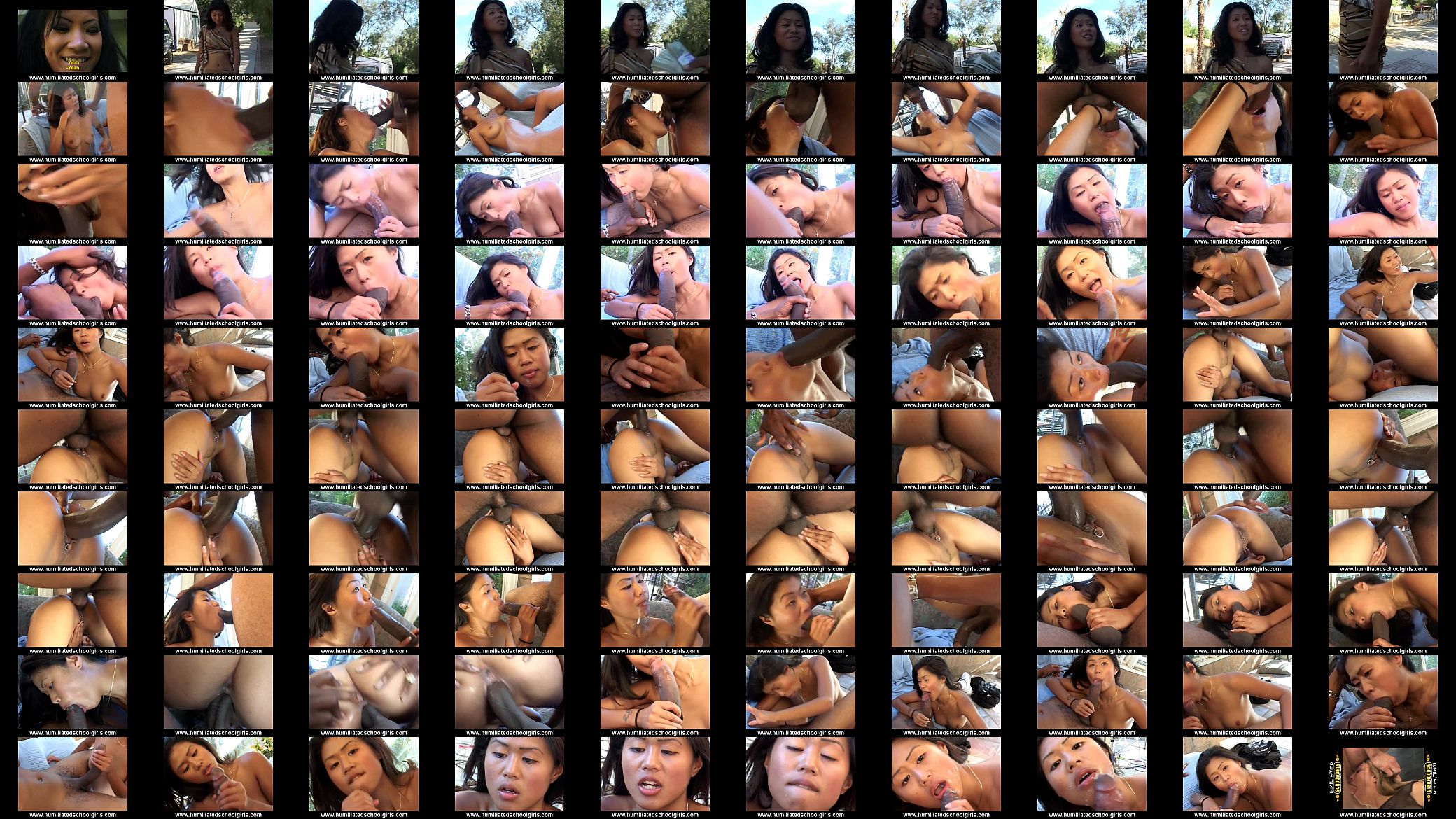Asian Slut Goes Pro For Huge Black Cock 预览图