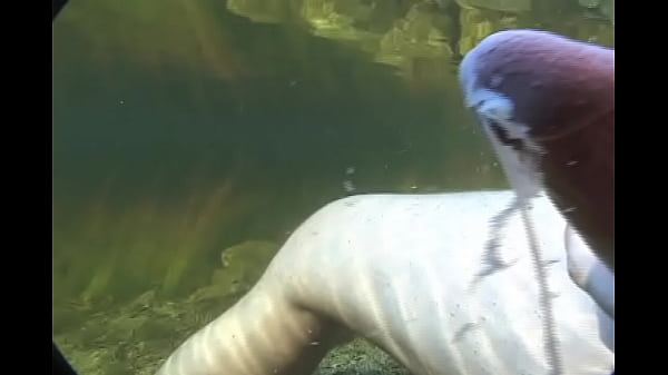 Download Video - My Cock Cumming Underwater