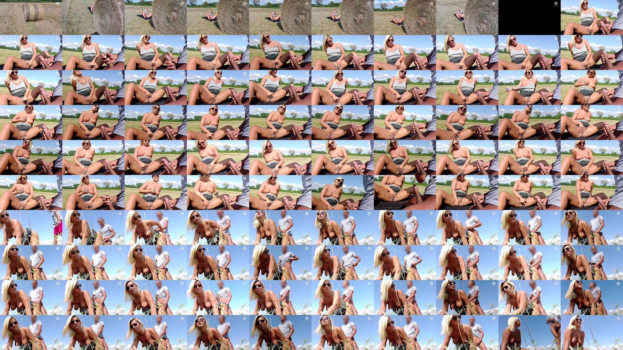 The public agent Lucie is fucked by a stranger in the nature by the roadside !!! What a bitch !! 预览图