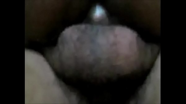 Download Video - Un oso me culea