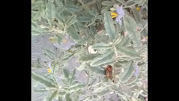 I unpack my sissy friend's ass.