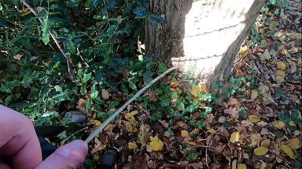 Awesome Big Pee on Tree
