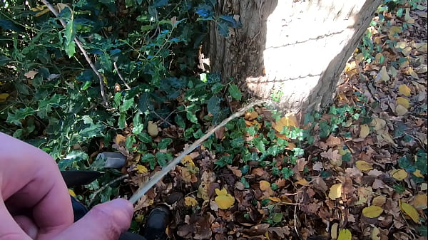 Awesome Big Pee on Tree