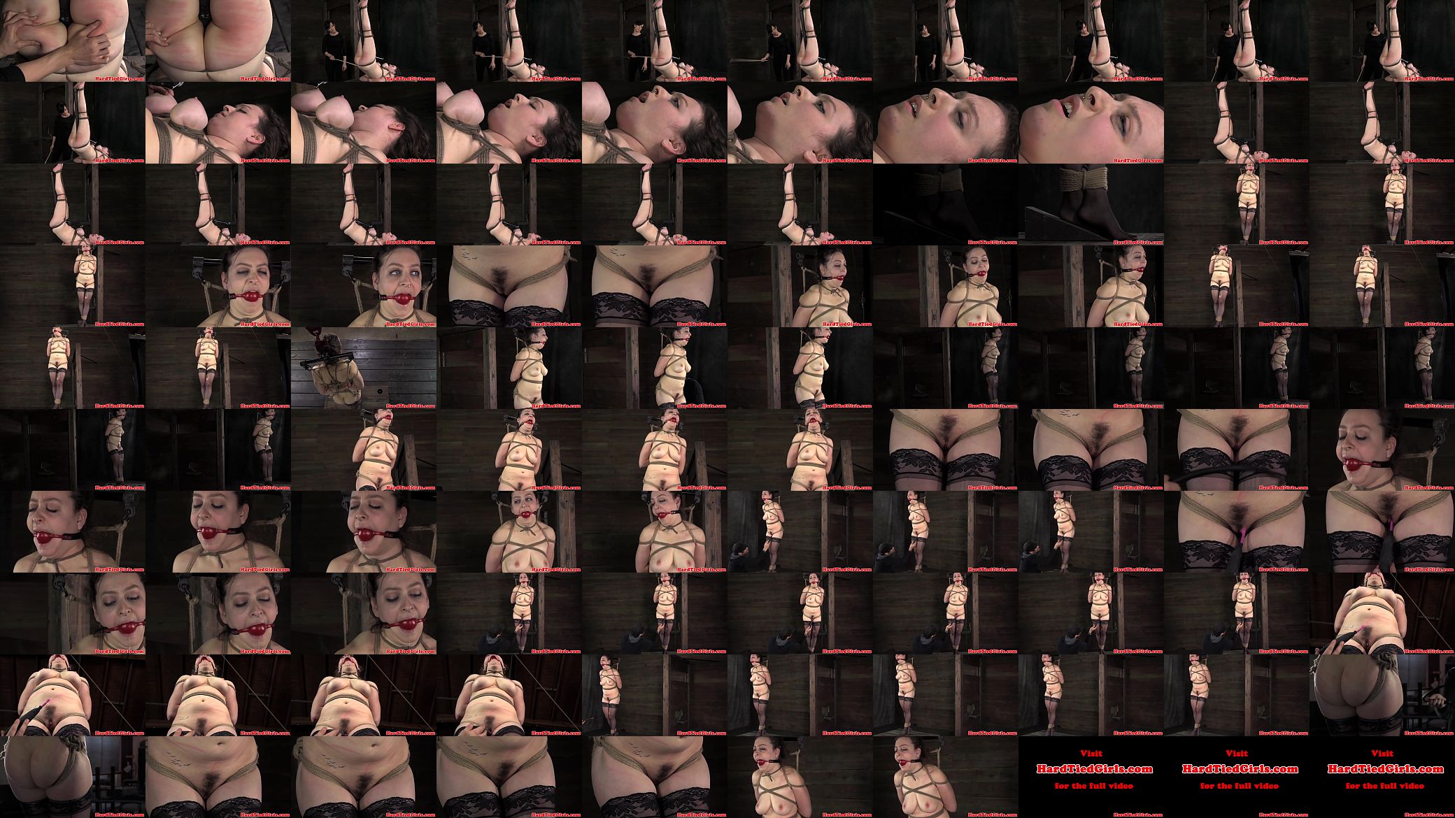 Ballgagged lezdom submissive flogged 预览图