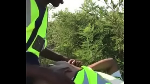 Des Travailleurs En Bordure De Route Baisent Dans Des Buissons Pendant La Pause Déjeuner