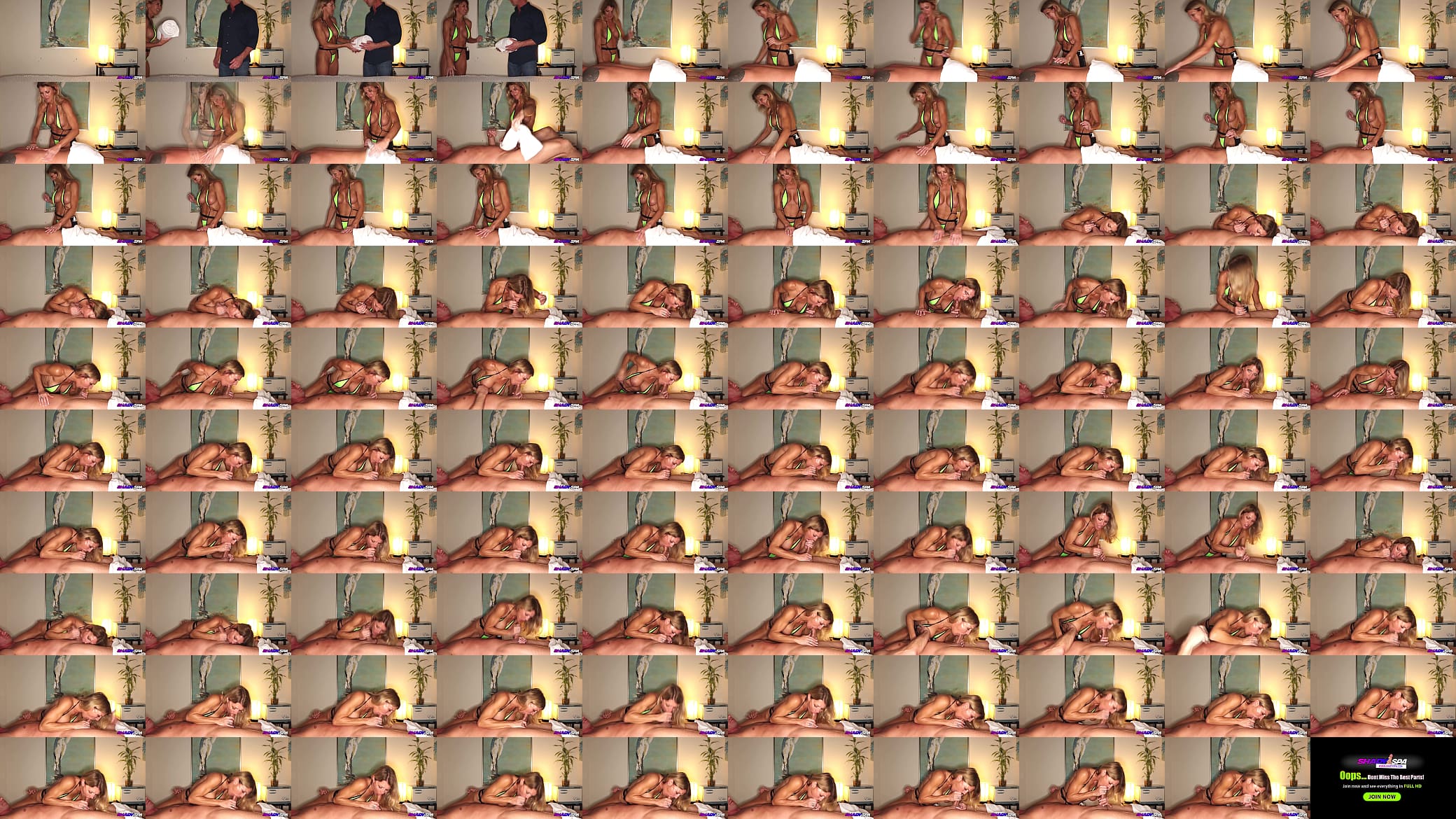 MILF Summer Stevens Shady Spa Blowjob 预览图