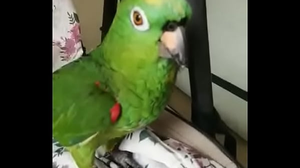 Soy la lora de Areli mujaajaja