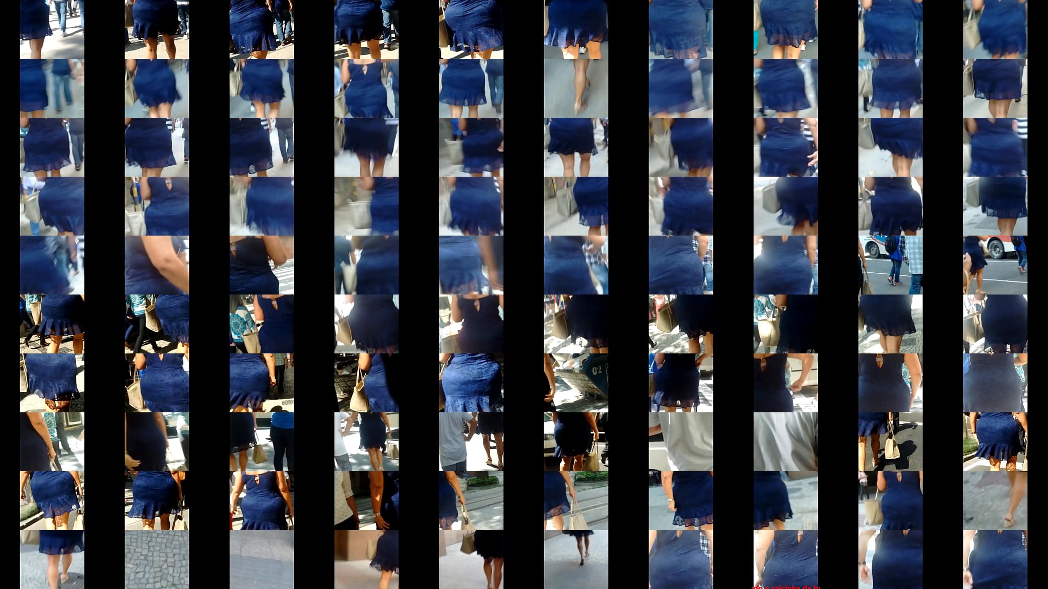 Coroa Rabuda de Vestido Azul 预览图