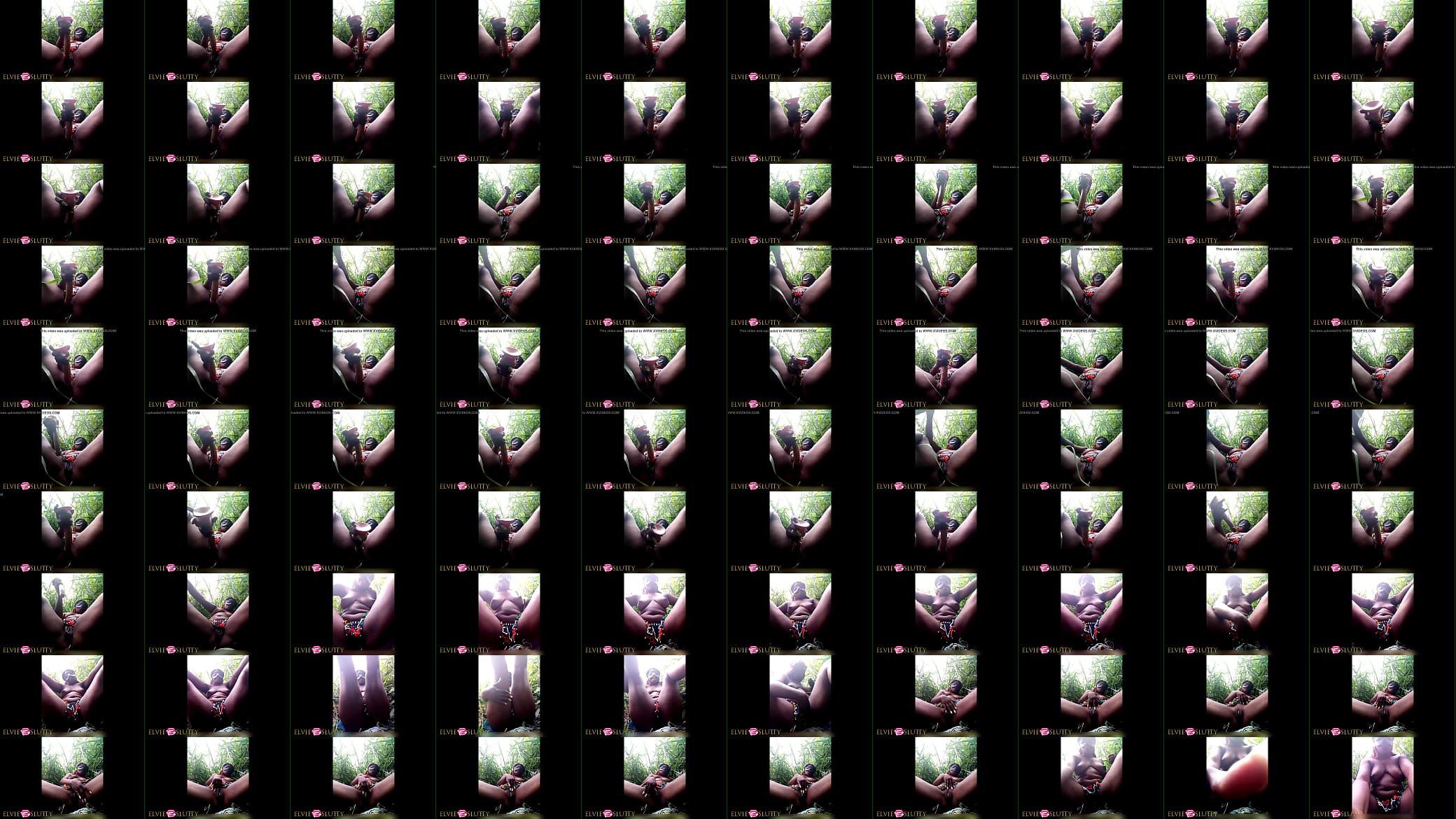Toying my black pussy in the forrest 预览图