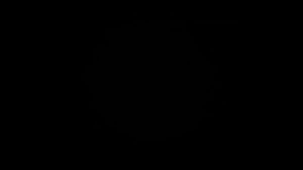 Video x&aacute;c minh