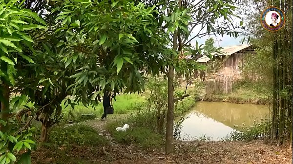 Download Video - Txhom tom pas ntses