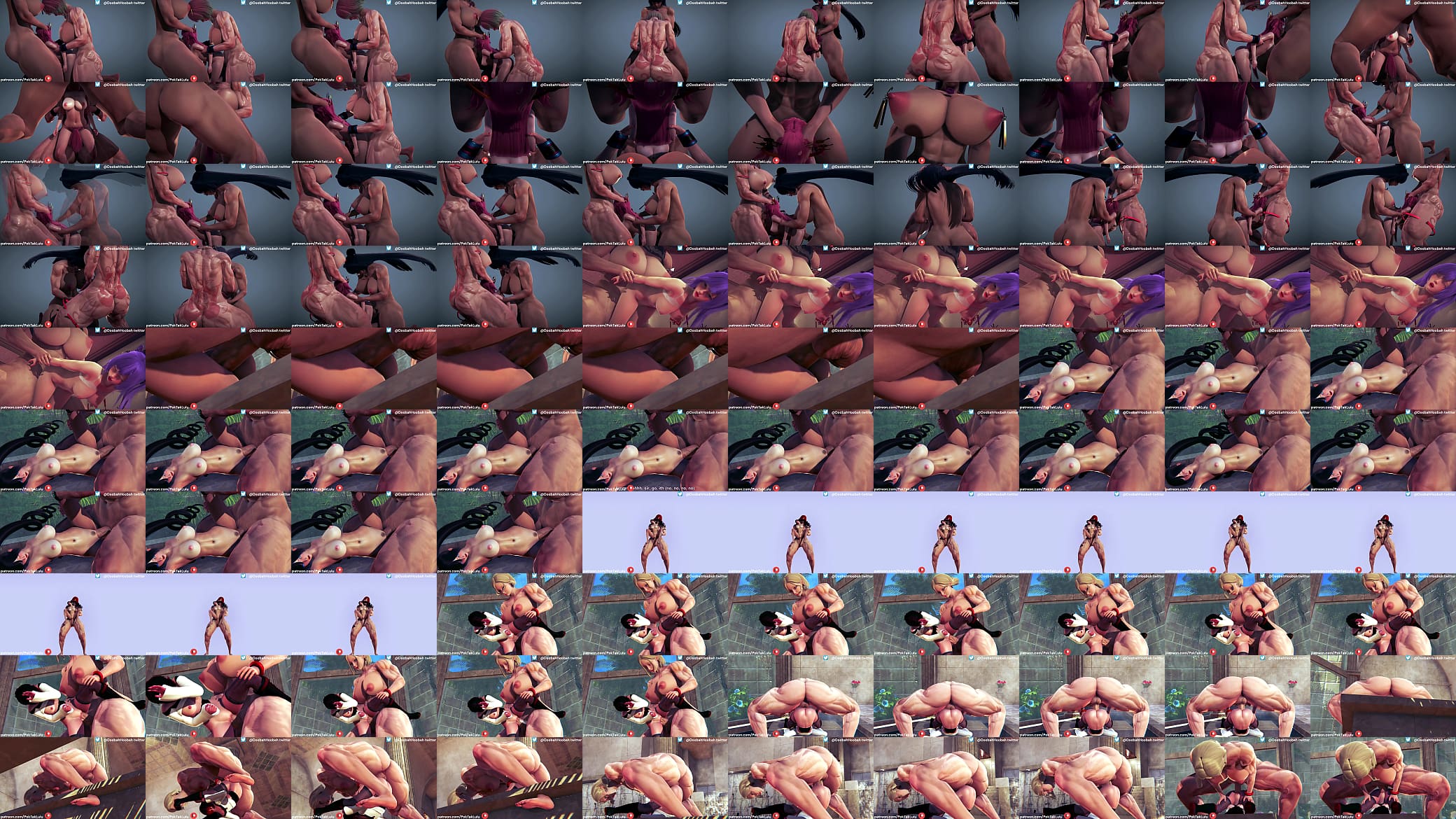 Futa x Female Compilation 预览图
