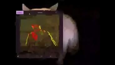 Mimic biast chase theme