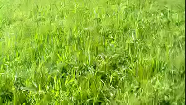 Download Video - 2181963 i center my wife alone blindfolded and tied in a voyeurs area