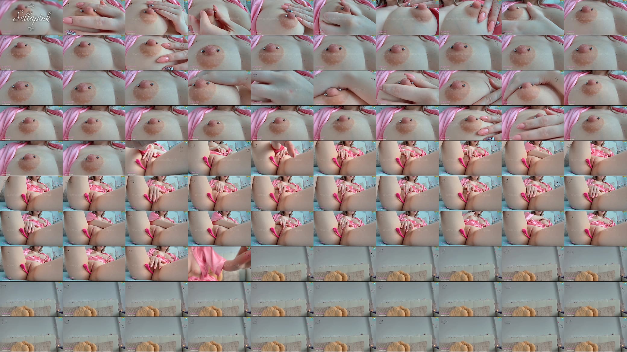 Sellapink Cam 预览图