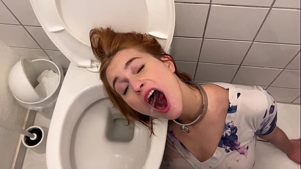I&rsquo;m a toilet for a day