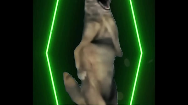 Even the snow queen needs a cheat day cool calm&hellip; and a little hungry