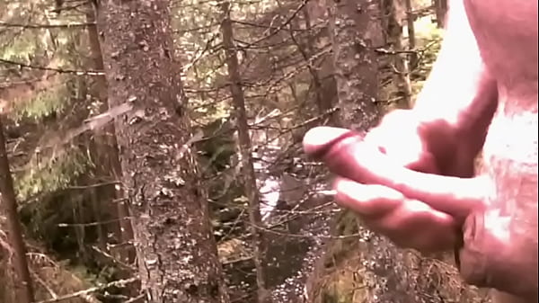 Download Video - skog