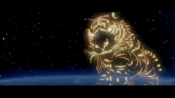 Video x&aacute;c minh