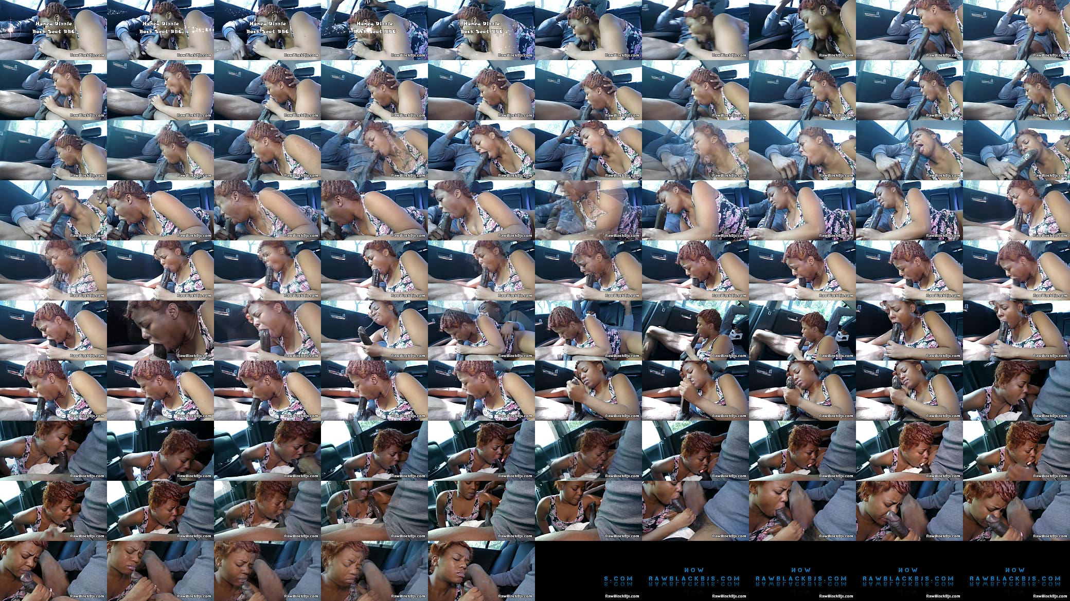 Back Seat With Big Dick Throat Training 预览图