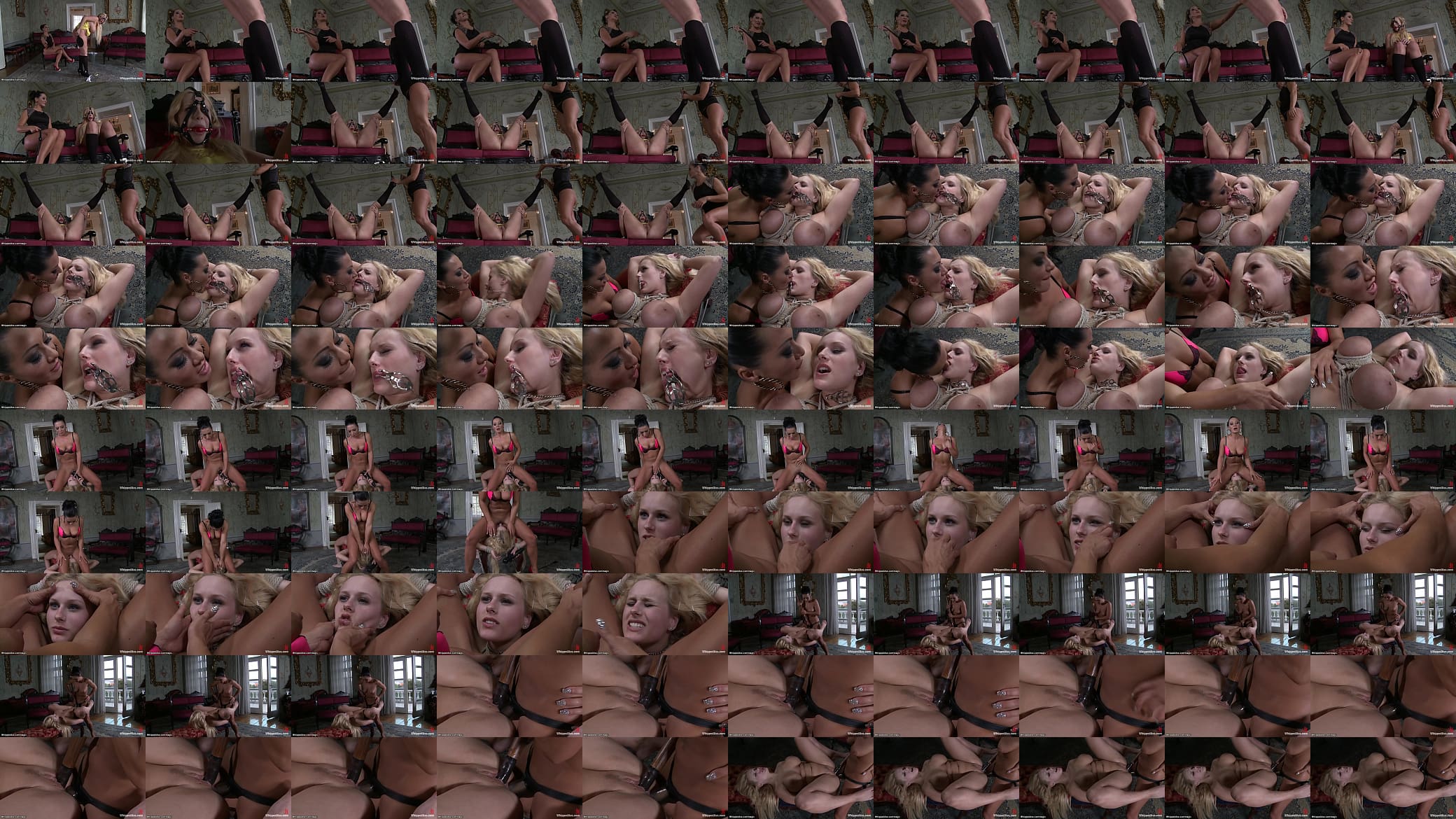 Monster tits Czech whipped and fucked 预览图
