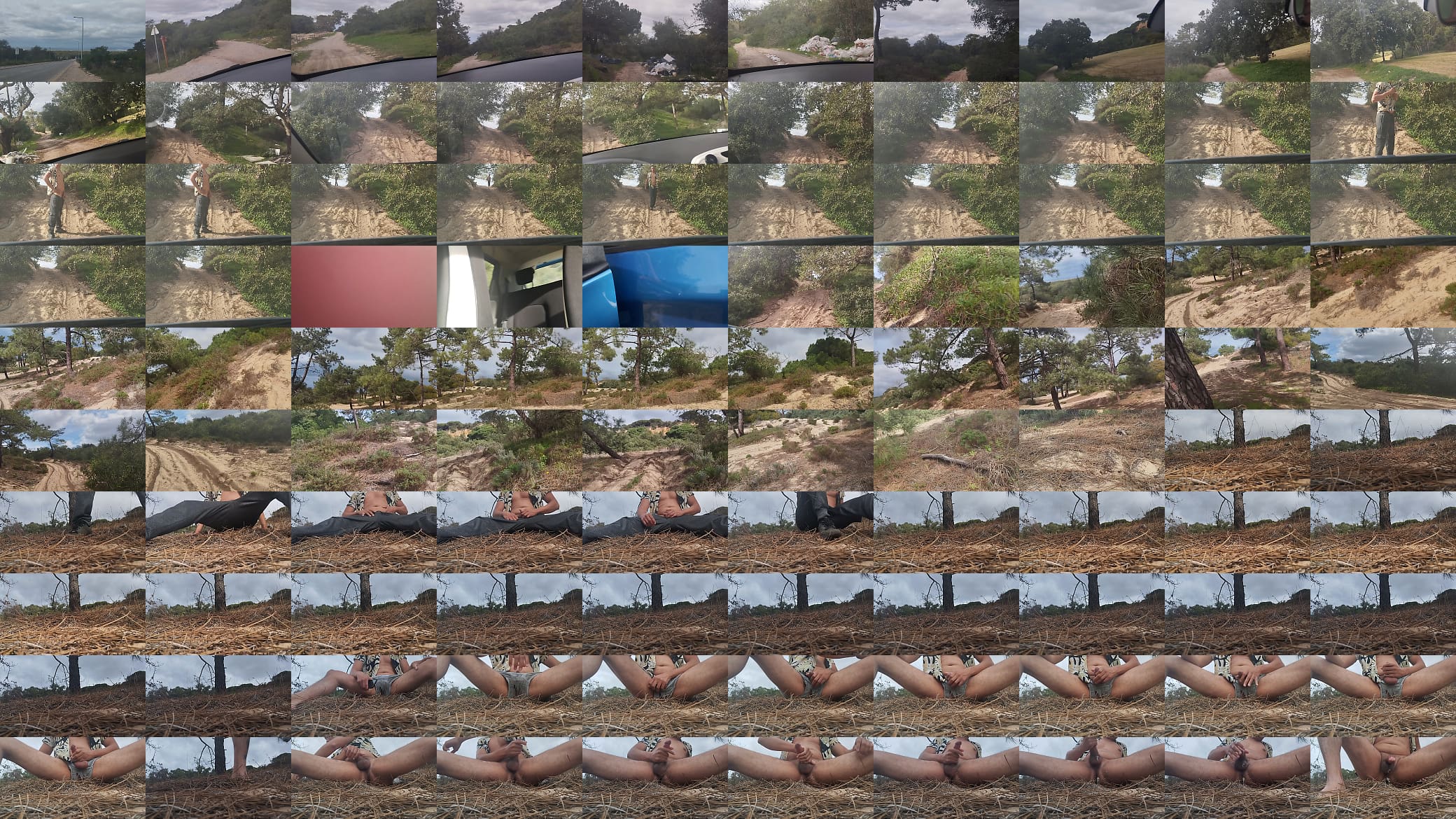 Guy of car spills a lot of milk on a trail near the sea 预览图