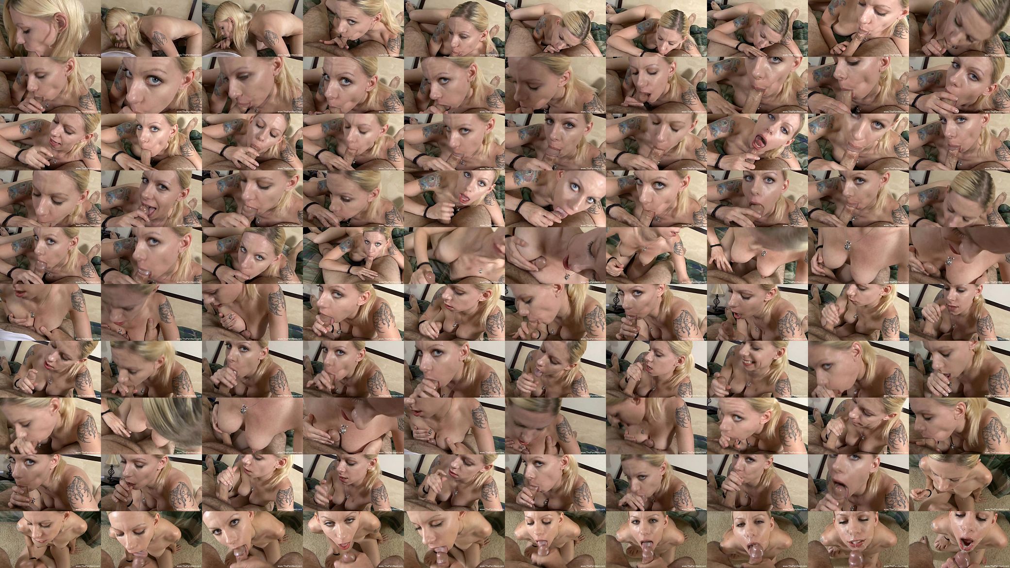 Trashy Blonde Gives Nerd A Blowjob 预览图