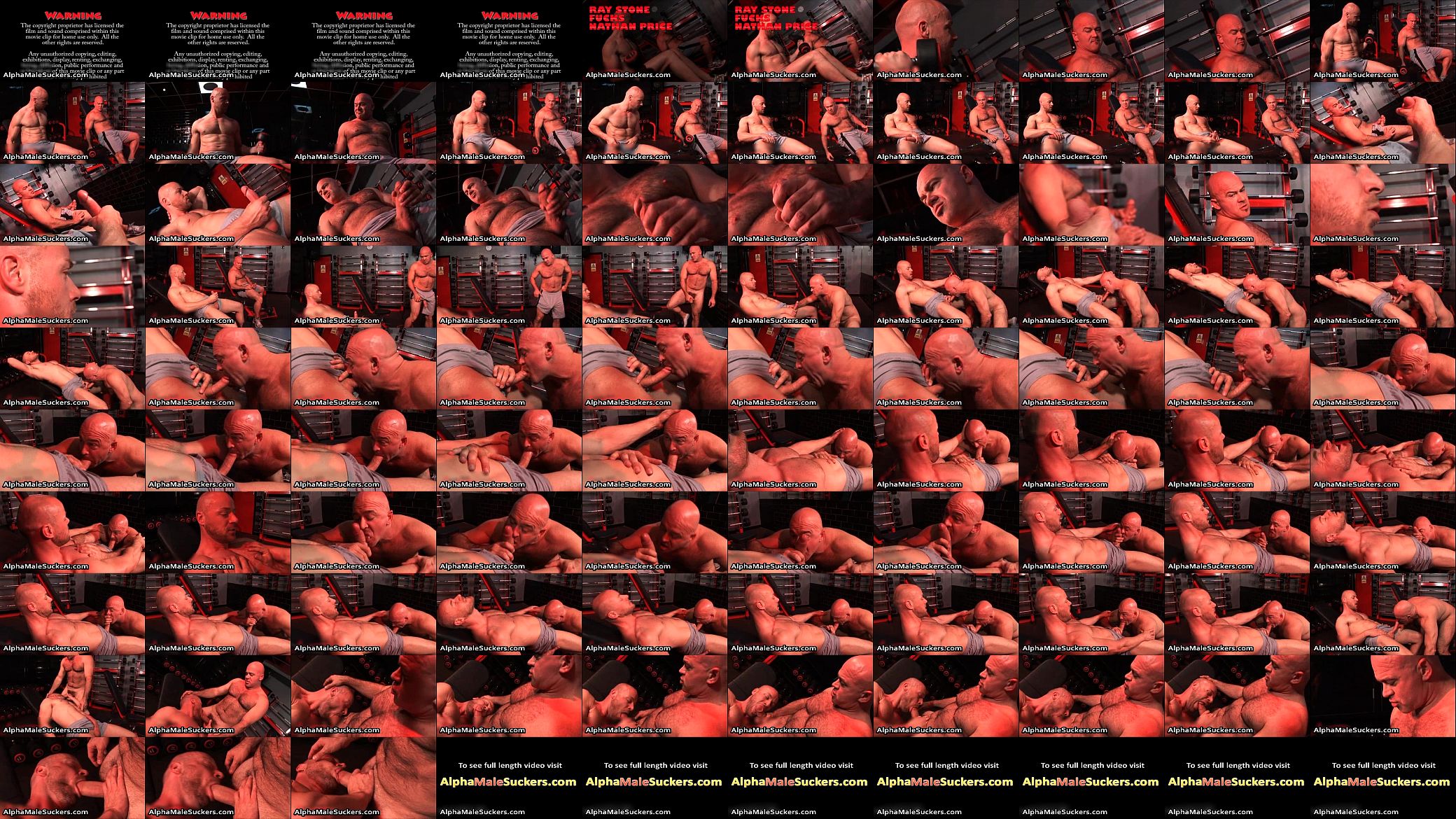 Super hot alpha males in very hardcore gay porno 预览图