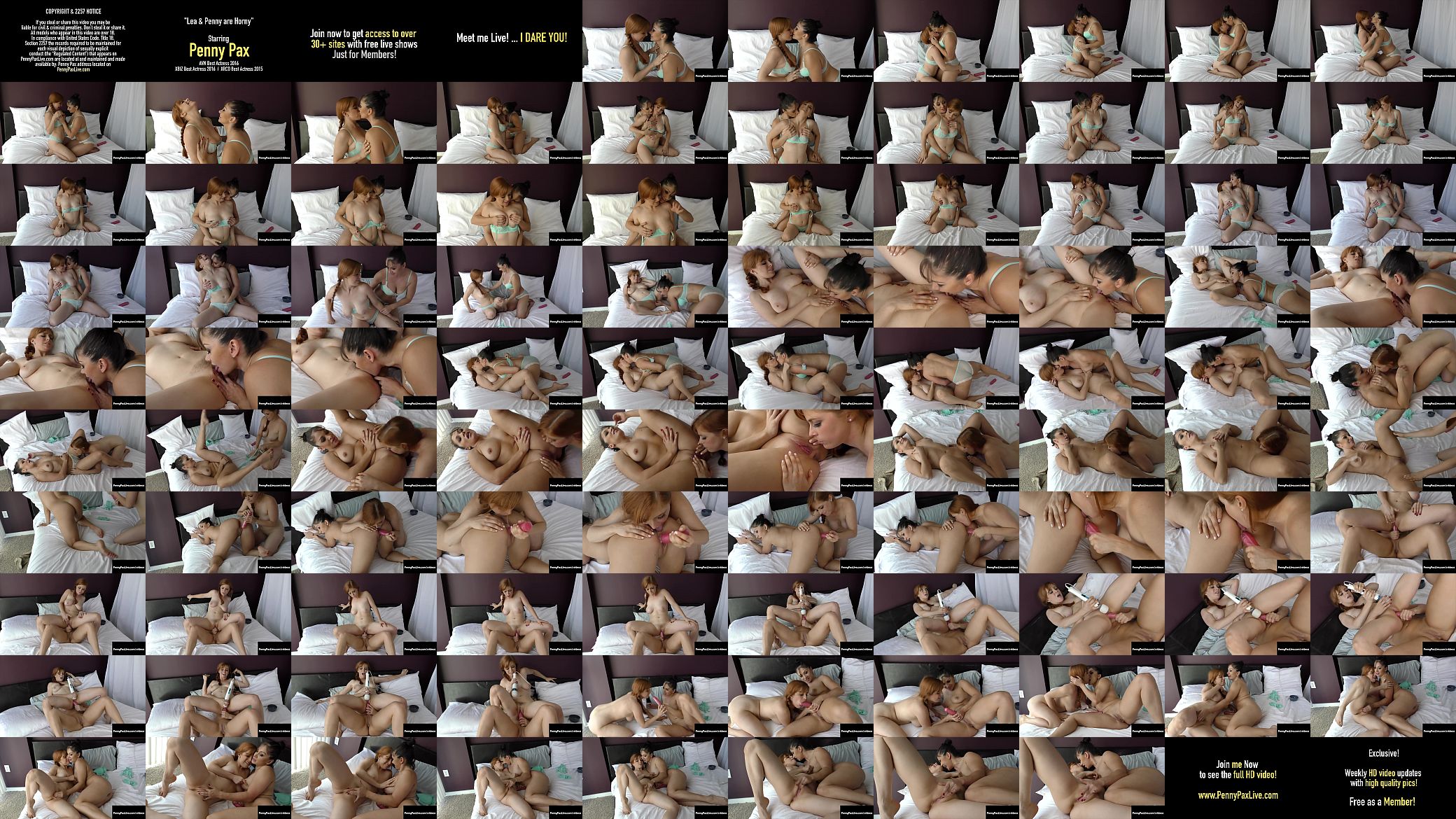 Hot Horny Redhead Penny Pax Dildo &amp; Finger Fucks Lea Lexis! 预览图