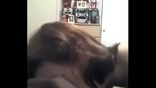 Download Video - white girl gives a lovely blowjob to a black cock&comma; she dreams amateur