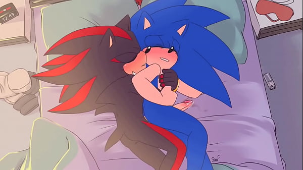 Fragment De Sonic X Shadow : Un Après-Midi D'amour